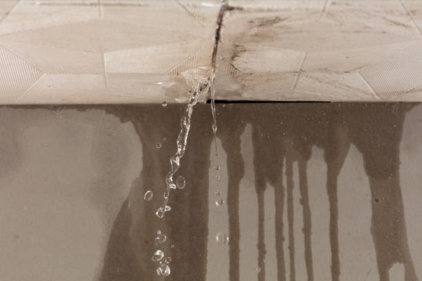 Professional Water Damage Repair technician working in Lind, WA